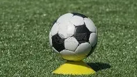 德州扑克(中国)官方网站 资讯 104633 xye