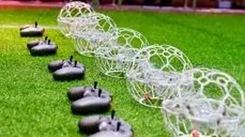 德州扑克(中国)官方网站 资讯 103821 8my