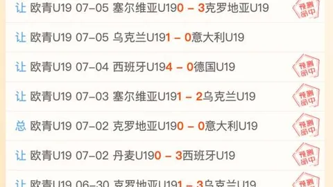 河南足球队突发换帅：葡萄牙教练临危受命，能否适应环境挑战